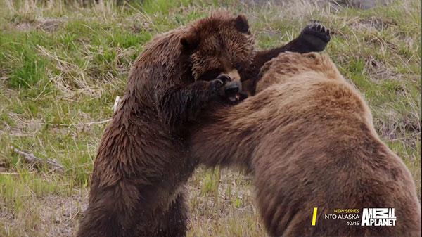 Soup to Nut Productions Logo